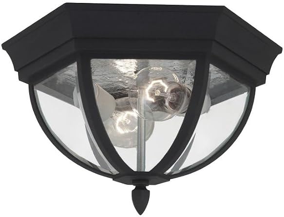 Generation Lighting 78136-12 Wynfield Two Light Outdoor Ceiling Flush Mount Hanging Modern Light Fixture, Black Finish, 2-Light, cETL Listed, Safety Rated for Wet Locations