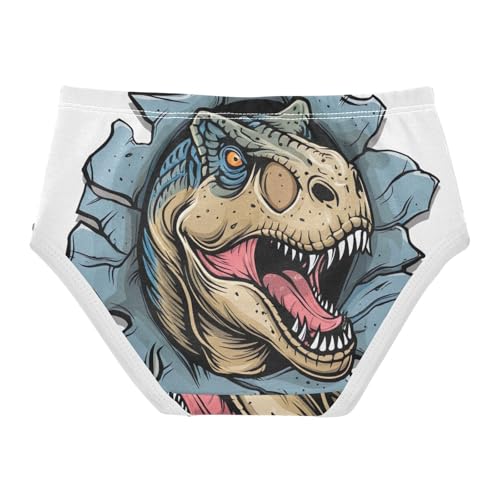 Toddler Underwear Floral 2t Cotton Little Girl Panties Fun Underpants Briefs Funny Dinosaur White2