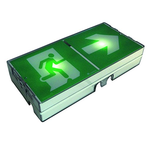 Bloc ultraled 8 boîtier BAES Luminox 16051 éclairage secours IP43