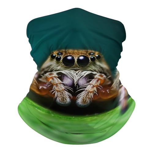 FZQVSGW Balaclava Neck Gaiter Wildlife Spider Neck Face Mask Windproof Scarf Face Cover for Men Women