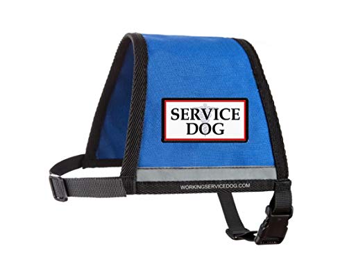 "Service Dog" Sew On Patch - Includes Five Service Dog Law Handout Cards – For Service Dog Vest Or Harness #TOP3