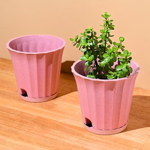 Image of Eha Earth Friendly Ace 7 inch Small Self Watering Pots for Indoor Plants | Set of 2 | Plant Pot Made with Bamboo Fibers | Table Top Planters for Home Decor, Flower Pot for Living Room | Innocent