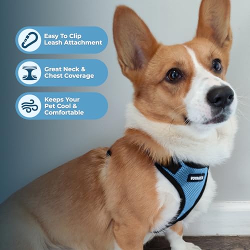 Image of Best Pet Supplies Voyager Step-in Lock Pet Harness w Reflective Pet Leash Combo Set with Neoprene Handle 5ft - Supports Small, Medium and Large Breed Puppies /Cats - Baby Blue /Black Trim, XS