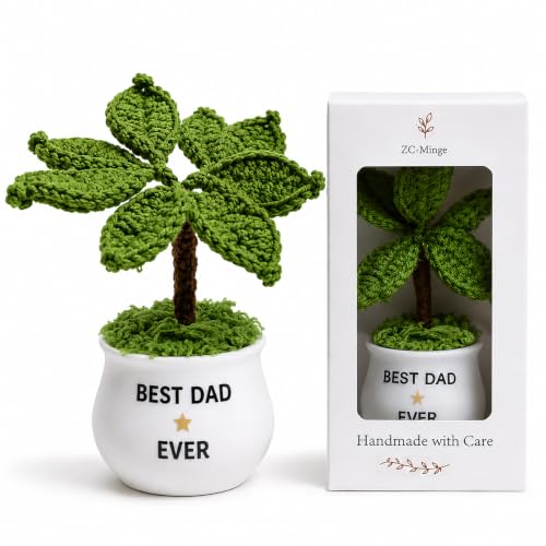 Crochet Plant Gift for Dad, Handmade Desk Decor, Best Dad Ever Gift,Office