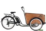 Cangoo Easy Elektro-Transportfahrrad 6 Gang mit Türchen vorne Army grün