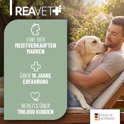 4in1 Complete Dog 250 g – Tägliche Ergänzung für Hunde mit Grünlippmuschel, Inulin, Bierhefe & Hagebutte I unterstützt Gelenke, Verdauung, Haut & Fell & Immunsystem