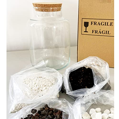 Foto von Terrarium Flaschengarten Glas mit Deckel für Zimmerpflanzen – Großes Glas-Terrarium Ökosystem Dekor – Materialien Enthalten Pflanzen Nicht dabei