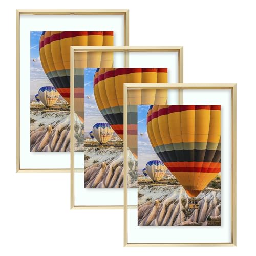 Golden State Art 12x18 Gold Aluminum Floating Picture Frame, 3 Pack by Golden State Art - Used condition - US$46.49