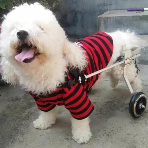 Chariot pour chien handicapé : poussette de promenade à deux roues - 3