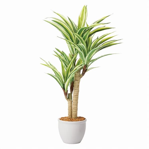 Amazon｜フェイクグリーン ドラセナ 高さ68cm 7D-20-5-1_7892-4564