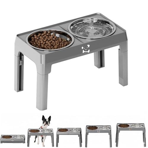 Lifetips {XgeAiBoston Terrierj Lp H t[h{EX^h {E  ܂肽 pT|[g Hׂ₷ Hh~ 􂢂₷ ~  i5iK O[j