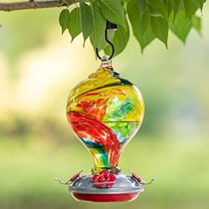 Muse Garden 32OZ Hummingbird Feeders Hanging, Blown Glass Hummingbird Feeder, Garden Backyard Decor, Carnival Muse Garden 32OZ Hummingbird Feeders Hanging Blown Glass Hummingbird Feeder Garden Backyard Decor Carnival