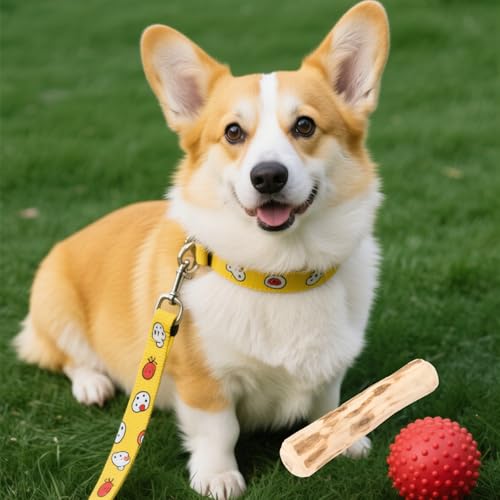 HYZSHL 3 Stück Kaffeeholz für Hunde, Natürliches Kauholz für Kleine und Mittlere Hunde, Ideal für Zahnreinigung und Stressabbau, 14 cm Lange ﻿
