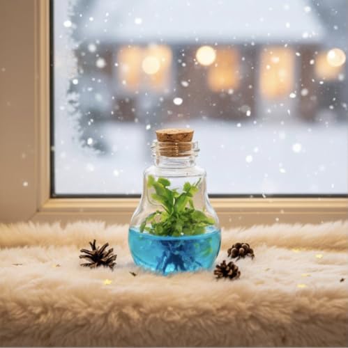 Venus Fly Trap, Grow Your Own Venus Flytrap in a 100% Self Sustaining Glass Terrarium, Maintenance Free, Easy to Grow, Healthy Growth Guarantee