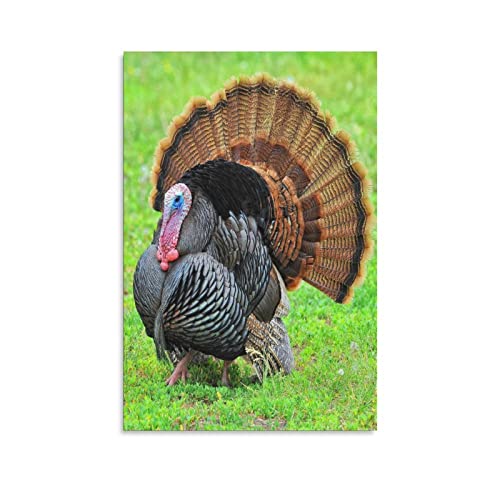 Amazon.co.jp: ワイルドターキー南アメリカ動物鳥キャンバスウォール