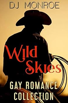 Paperback Wild Skies Gay Romance Collection Book