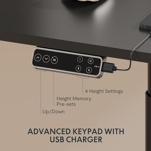 Image of FLEXISPOT E6 Pro Dual Motor Electric Standing Desk, Organic Modern Oval Leg Design, 3-Stage Height Adjustable Sit Stand Desk with Heavy Duty 330lbs, 48 inch x 30 inch Black Desktop, Black Frame