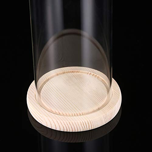 COHEALI Cúpula De Tampa De Transparente Estande Prato De Bolo Cúpula Carrinho Do Bolo De Cloche Mini