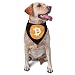 Bitcoin Symbol Triangle Dog Bandana Scarf Accessories for Pet Bibs