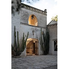 Masseria Altemura Petravia Aglianico - Italian Still Red Wine from the Apulia Region, Italy - 100% Aglianico Grapes - 75cl / 750ml, 14% ABV – MASSERIA ALTEMURA