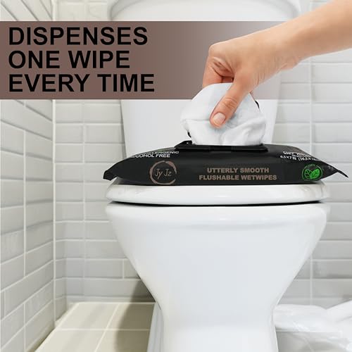 Image of Flushable Wet Wipes, 6 Pack (288 Wipes), Cafe Toffee, Disposable, Biodegradable, XL, With Aloe & Vitamin-E, Drain and Marine Life Friendly, Brewed Comfort, Utterly Smooth, Irresistible!