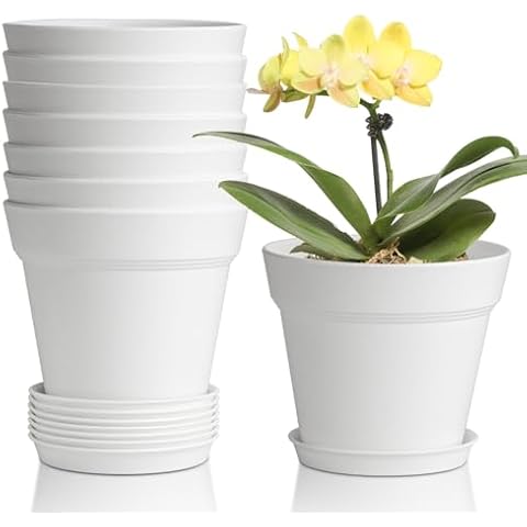 T4U 5 Inch Plant Pots 8-Pack - Small Plastic Planter with Drainage Hole and Saucer, Decorative Nursery Pot Bulk for African Violet, Snake Plant, Succulent and All House Plants Indoor (White) Cover