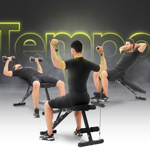 ZIPRO Tempo klappbare Hantelbank mit Expander-Seilen – Verstellbare Fitnessbank mit 6-fach Rückenlehne, Dreiecks-Stahlrahmen, Belastbar bis 230 kg, Trainingsbank für Sit-Ups, Krafttraining & Home-Gym – Bild 3