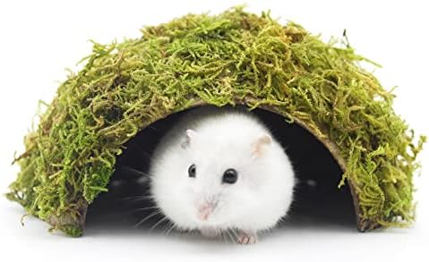 Hamster Hideaway/Hideout,Mossy Cave Hide,Hamster House/Hides,Hams...
