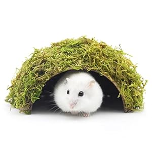 Hamster Hideaway/Hideout,Mossy Cave Hide,Hamster House/Hides,Hamster Cage Accessories for Gguinea Pig/Hedgehogs/Gliders/Rats/Mice and Other Small Animals (Small)