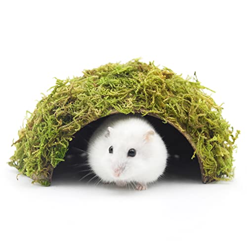 SanmooAio Hamster Hideaway/Hideout,Mossy Cave Hide,Hamster House/Hides,Hamster Cage Accessories for Gguinea Pig/Hedgehogs/Gliders/Rats/Mice and Other Small Animals (Small)
