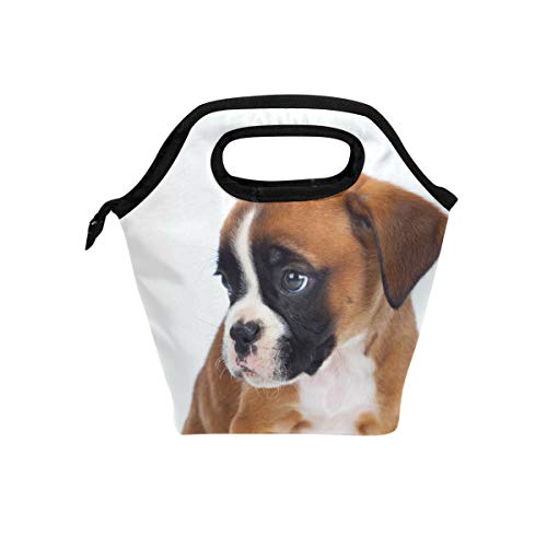 NUYFVG Adorable bolsa de almuerzo tipo bóxer con aislamiento térmico de neopreno para mujer, para el trabajo, picnic