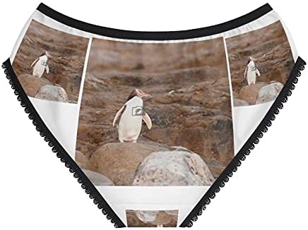 Hoiho On Shore Panties, Hoiho On Shore Underwear, Briefs, Cotton Briefs, Funny Underwear, Panties For Women