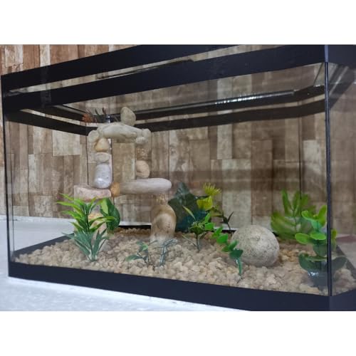 Aquário Beteira Oval 35cm Para Peixe Betta Decorado Ornamentação Exclusiva