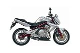 Kawasaki er-6 N/F 2005/2011 Mivv K.015.LE KAWASAKI ER-6n / f 2005 / 2011 ESCAPE SLIP-ON OVAL CARBONO