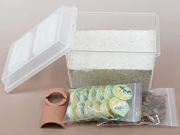 Amazon オオクワガタ専用 産卵初めてセット オオクワガタ成虫用 月夜野きのこ園 飼育ケース アクセサリー 通販