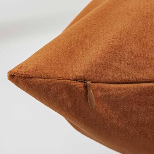 Image of JUSPURBET 16x16 Decorative Velvet Throw Pillow Covers Set of 2,Burnt Orange | Modern Soft Cushion Covers Cases with Hidden Zipper for Couch Sofa Bed Living Room Bedroom Halloween Decor