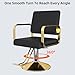 Zevemomo Barber Salon Chair for Hair Stylist, Heavy Duty Hydraulic Pump with 360° Swivel, Adjustable Height Spa Beauty Equipment for Barbershop, Home 330LBS Capacity, Black