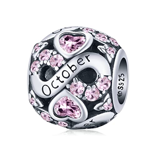 WOSTU 925 Sterling Silver Birthstone Bead Charm Jewelry for Charms Bracelets for Women Mother Sister for Gifts for Birthday Mother's Day Thanksgiving Christmas