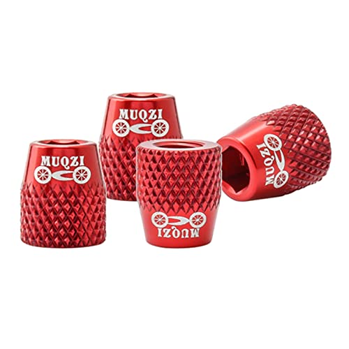 Vu[LV[Œ{g M6A~XN[ 4Zbg yʑϖ ]ԃp[c MTB[hoCNp ()