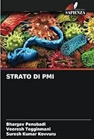 Strato Di PMI 6205300060 Book Cover