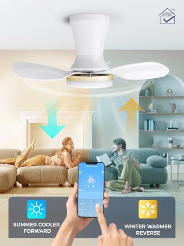Image of LANMEL 22 Inch Flush Mount Ceiling Fan with Light and Remote, Low Profile Modern Ceiling Fan, 6 Speed, Reversible, 3000k-6500k Dimmable LED, Quiet DC Motor for Indoor Outdoor, White Gold