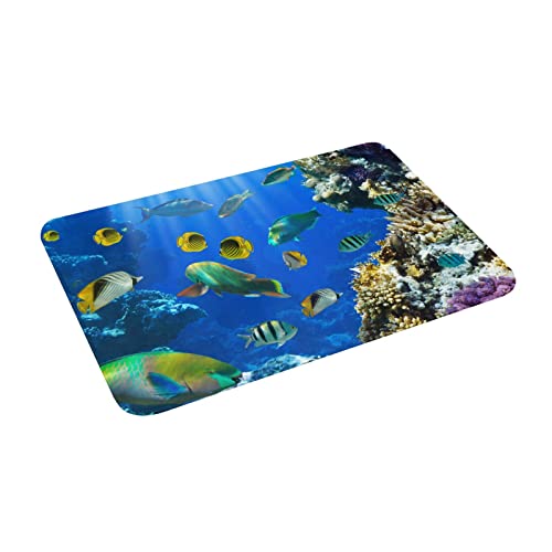 Bath Rugs Cute Multicolored Fish Door Mat Outdoor Ocean Animal Blue Sea Coral Art Print Doormat Non Slip Absorbent Bathroom Rug Carpet For Home Entrance Kitchen 24X16.5In #TOP1