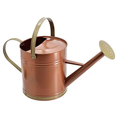 Classic Shiny Galvanized Metal Watering Can Easy-Pour Indoor and Outdoor 2.6 gal Shiny Galvanized Metal