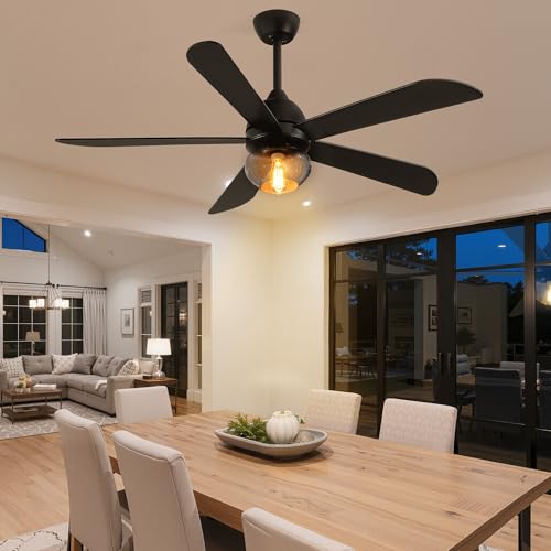 YITAHOME Ceiling Fans with Lights, Unique Designs for Glass Lampshade and Fan Blades, 52 Inch Black Ceiling Fan, 6 Speeds, Reversible Quiet DC Motor Fan for Living Room, Dining Room, Cool Black