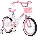 Royalbaby Jenny Princess Pink Girl's Bike with Training Wheels and Basket, Perfect Gift for Kids, 16 inch wheels