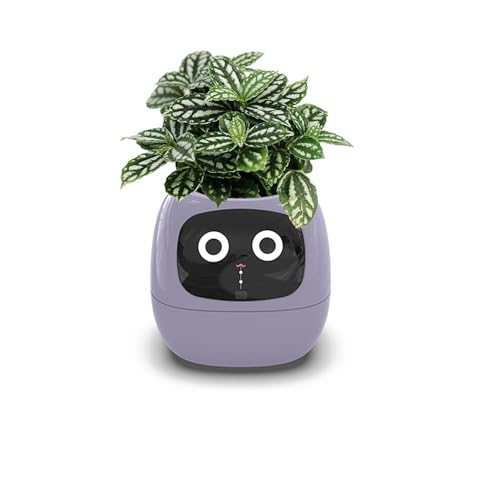 Genérico Tuya Maceta Inteligente Robot Adorable Compañero de Plantas Maceta Inteligente 7 Sensores Inteligentes Tiempo/Fecha/Luminosidad/Muestra de Humedad Maceta Ai Planter (Morado) Genérico Tuya Maceta Inteligente Robot Adorable Compañero de Plantas Maceta Inteligente 7 Sensores Inteligentes Tiempo/Fecha/Luminosidad/Muestra de Humedad Maceta Ai Planter (Morado)