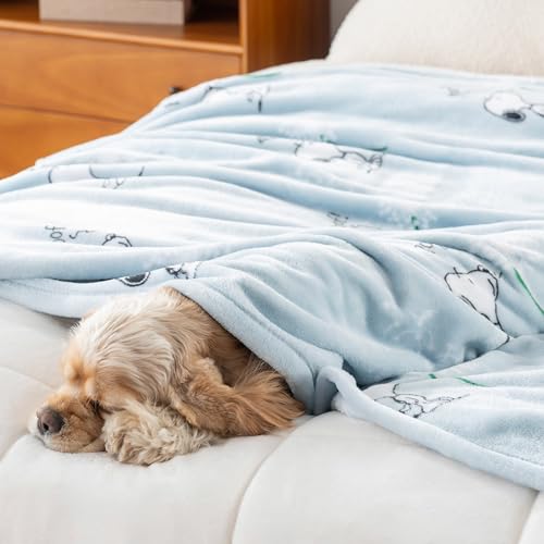 Image of Berkshire Blanket Peanuts VelvetLoft Cute Character Snoopy Plush Throw Blanket,Peanuts Snoopy Make A Wish Spring Blue,Throw 55 in x 70 in (Official Peanuts Product)