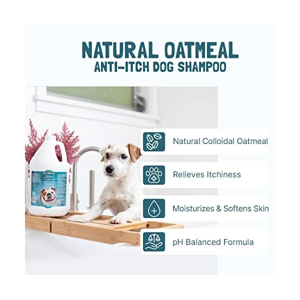 BIO-GROOM - Natural Oatmeal - Haferflocken Shampoo - Hundeshampoo und Welpenshampoo - Lindert Juckreiz und spendet Feuchtigkeit - pH-neutral und frei von Parabenen - 3,8 L – Bild 6