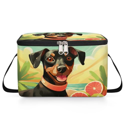 GzLeyigou Miniature Pinscher Lunch Bags for Women Men 9 Cans, Hot & Cold Food Delivery Bag Insulated Grocery Bag Insulated Lunch Box Animal Dog Cooler Bag for Office Work Picnic Beach