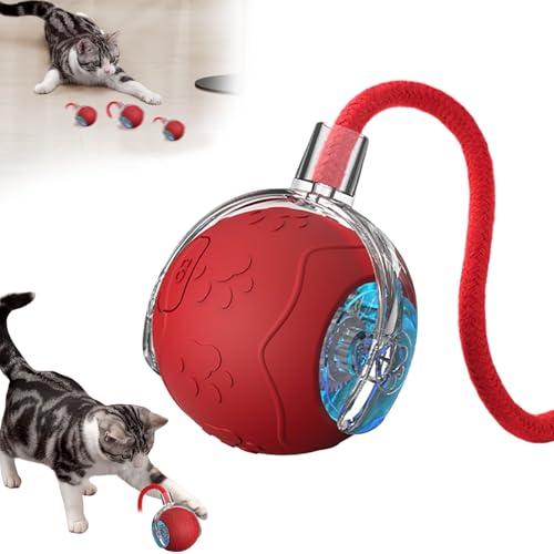 Doramier Jeux pour Chat,Jouet Chat Interactif, Boule électrique Automatique Rechargeable pour Chats Chien, Jouet C Hat Qui Bouge Seul, Balle Interactive Chat...